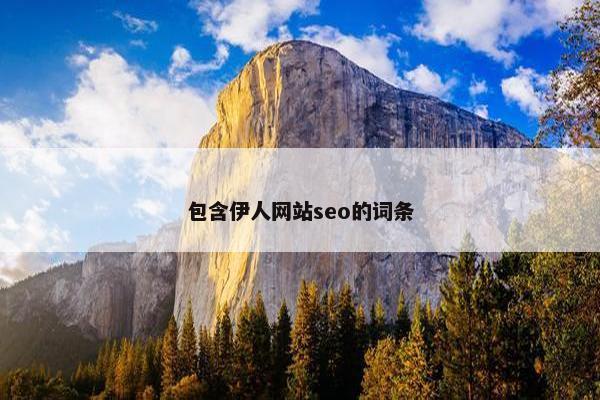 包含伊人网站seo的词条