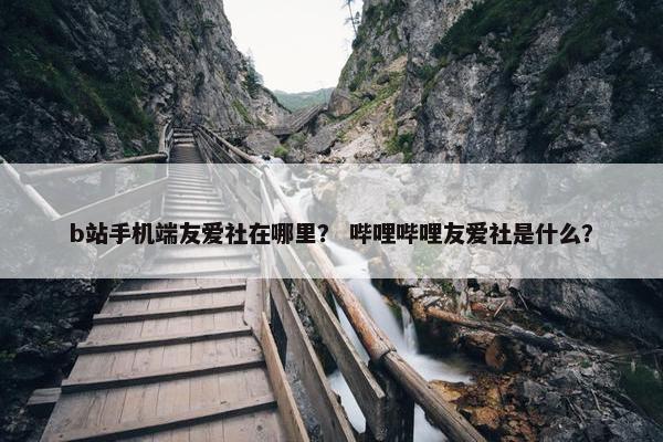 b站手机端友爱社在哪里？ 哔哩哔哩友爱社是什么？