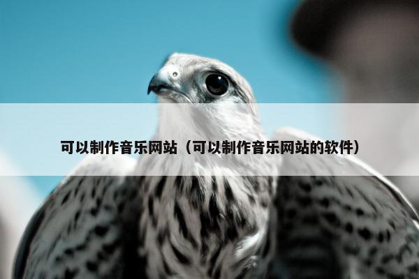 可以制作音乐网站（可以制作音乐网站的软件）