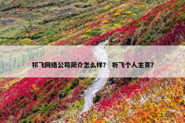 祁飞网络公司简介怎么样？ 祈飞个人主页？