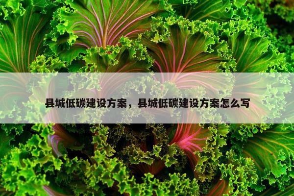 县城低碳建设方案，县城低碳建设方案怎么写