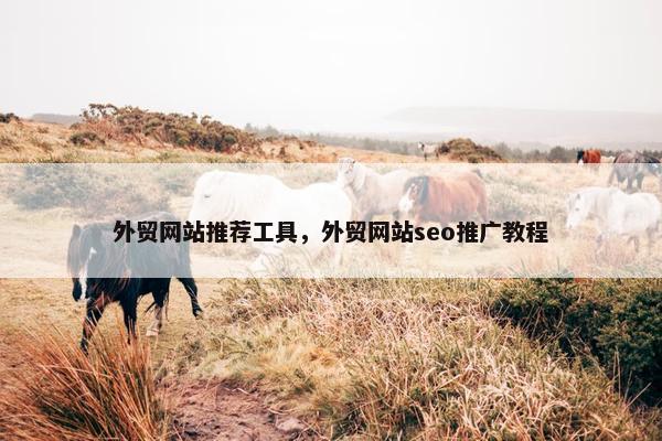 外贸网站推荐工具，外贸网站seo推广教程