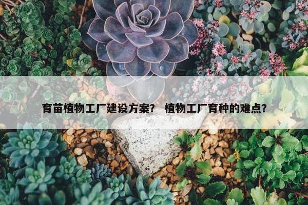 育苗植物工厂建设方案？ 植物工厂育种的难点？