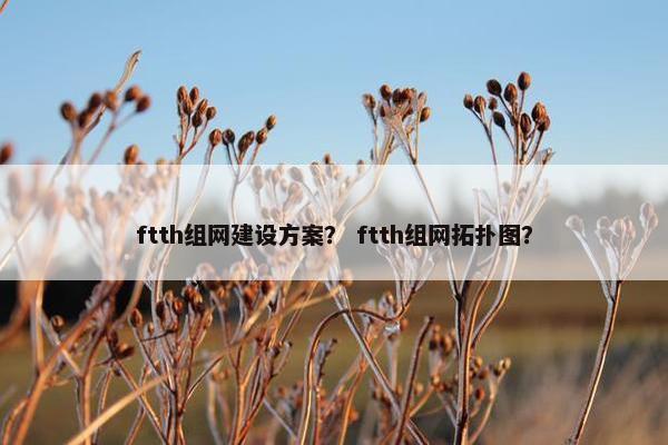 ftth组网建设方案？ ftth组网拓扑图？