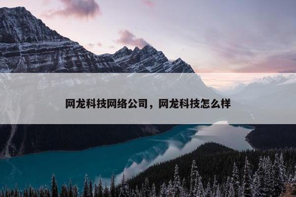 网龙科技网络公司，网龙科技怎么样