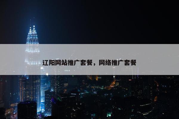 辽阳网站推广套餐，网络推广套餐