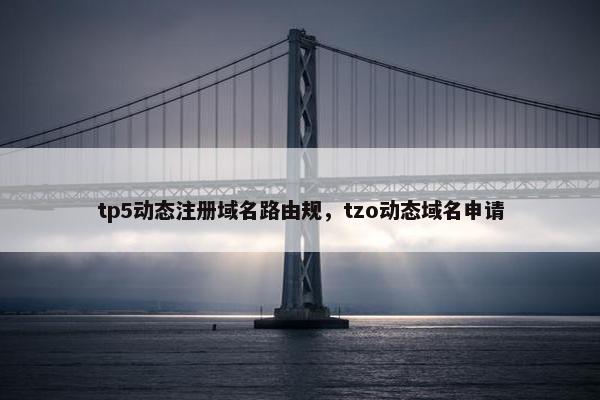 tp5动态注册域名路由规，tzo动态域名申请