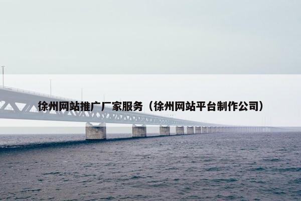 徐州网站推广厂家服务（徐州网站平台制作公司）