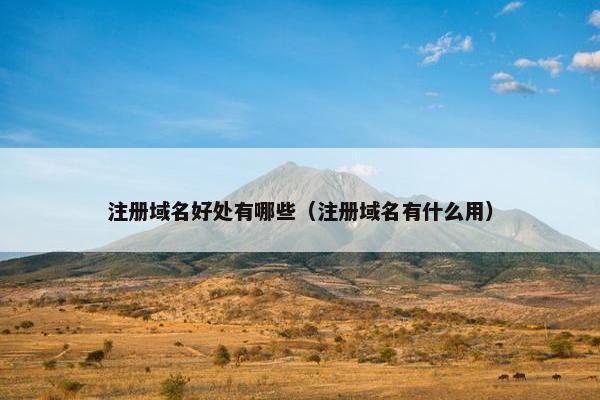 注册域名好处有哪些（注册域名有什么用）