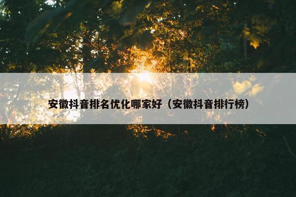 安徽抖音排名优化哪家好（安徽抖音排行榜）