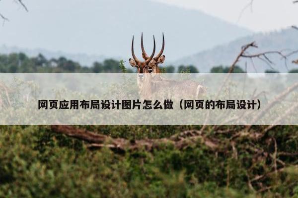 网页应用布局设计图片怎么做（网页的布局设计）