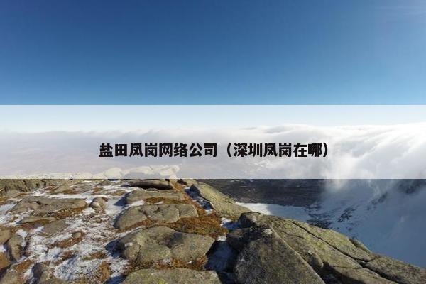 盐田凤岗网络公司（深圳凤岗在哪）