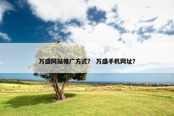 万盛网站推广方式？ 万盛手机网址？