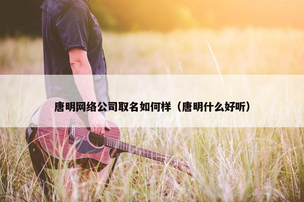 唐明网络公司取名如何样（唐明什么好听）