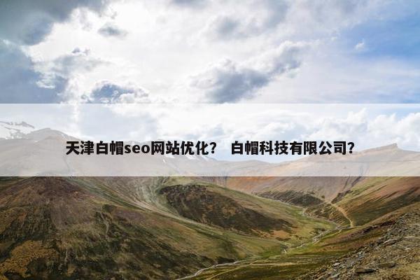 天津白帽seo网站优化？ 白帽科技有限公司？