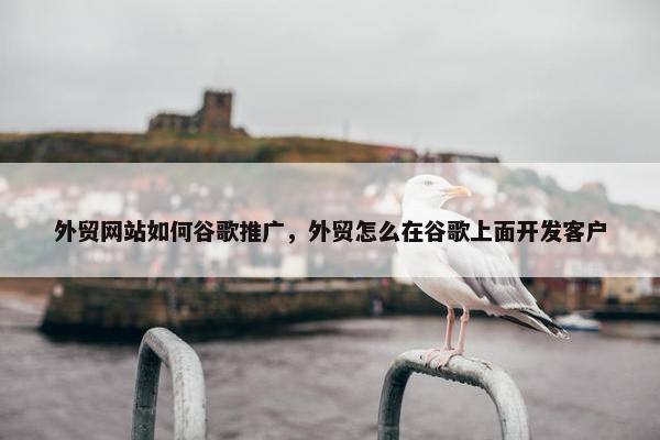 外贸网站如何谷歌推广，外贸怎么在谷歌上面开发客户