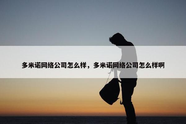 多米诺网络公司怎么样，多米诺网络公司怎么样啊