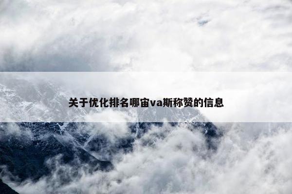 关于优化排名哪宙va斯称赞的信息