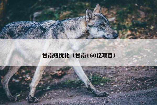 甘南短优化（甘南160亿项目）