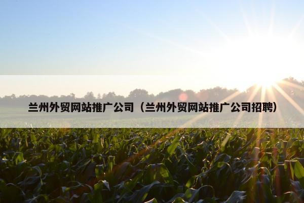 兰州外贸网站推广公司（兰州外贸网站推广公司招聘）