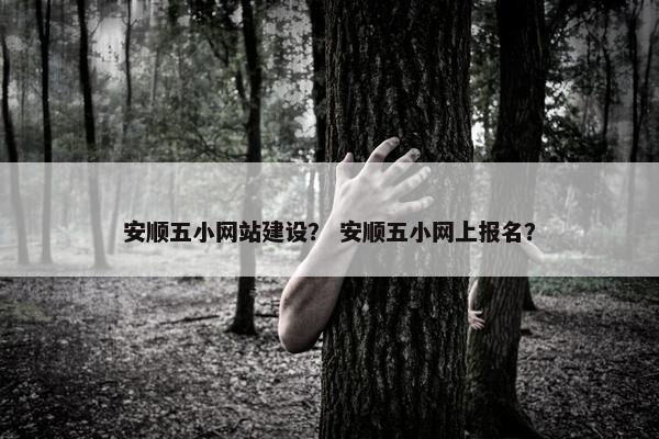 安顺五小网站建设？ 安顺五小网上报名？