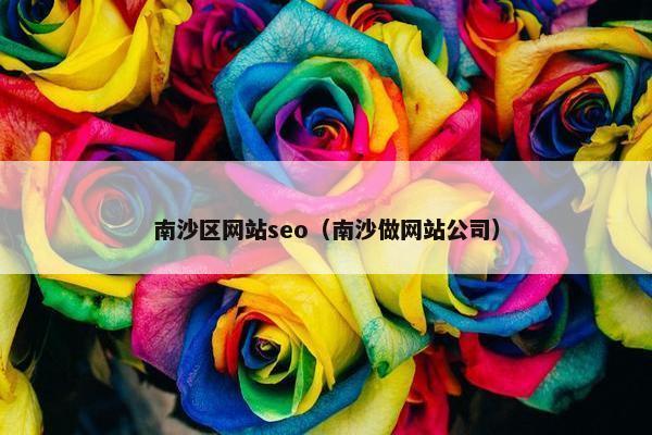 南沙区网站seo（南沙做网站公司）