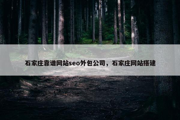 石家庄靠谱网站seo外包公司，石家庄网站搭建