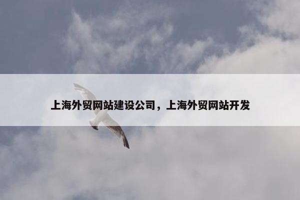 上海外贸网站建设公司，上海外贸网站开发