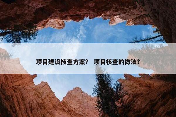 项目建设核查方案？ 项目核查的做法？