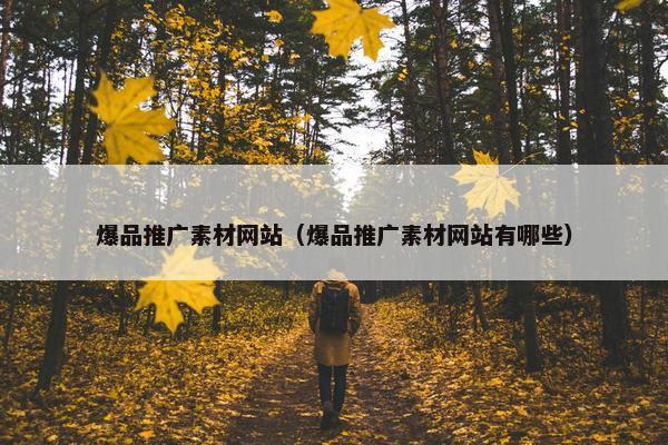 爆品推广素材网站（爆品推广素材网站有哪些）