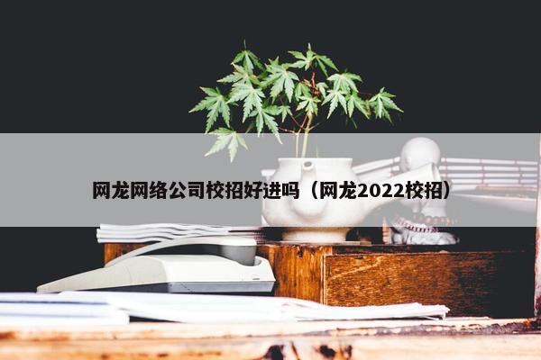 网龙网络公司校招好进吗（网龙2022校招）