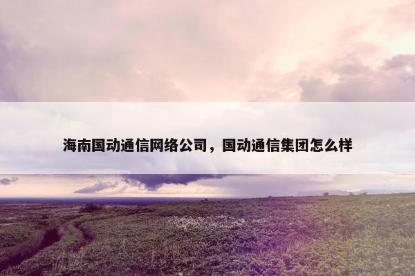 海南国动通信网络公司，国动通信集团怎么样