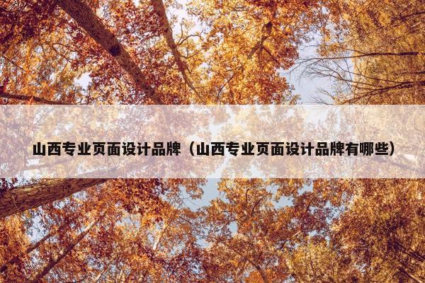 山西专业页面设计品牌（山西专业页面设计品牌有哪些）