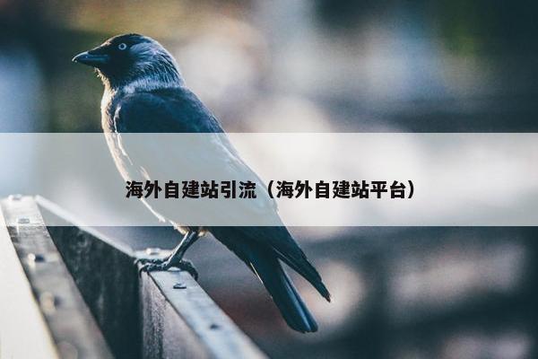 海外自建站引流（海外自建站平台）