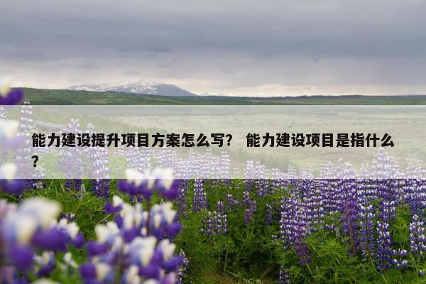 能力建设提升项目方案怎么写？ 能力建设项目是指什么？