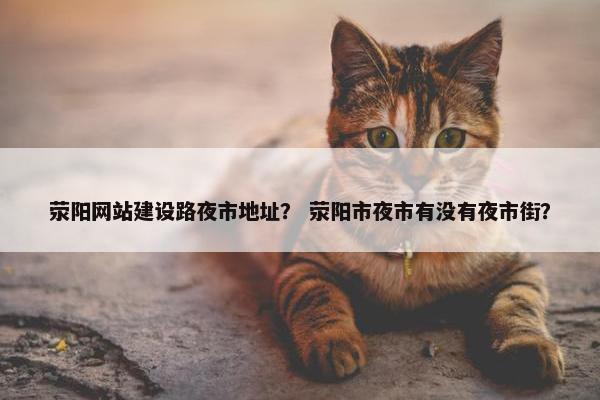 荥阳网站建设路夜市地址？ 荥阳市夜市有没有夜市街？
