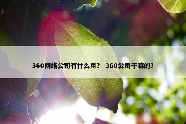 360网络公司有什么用？ 360公司干嘛的？