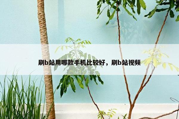 刷b站用哪款手机比较好，刷b站视频