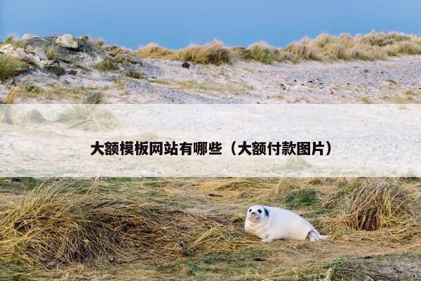 大额模板网站有哪些（大额付款图片）