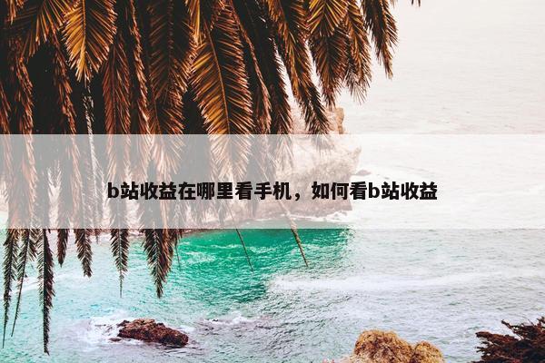 b站收益在哪里看手机，如何看b站收益