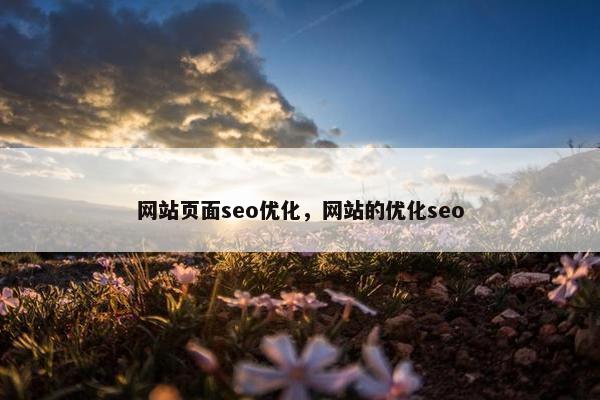 网站页面seo优化，网站的优化seo