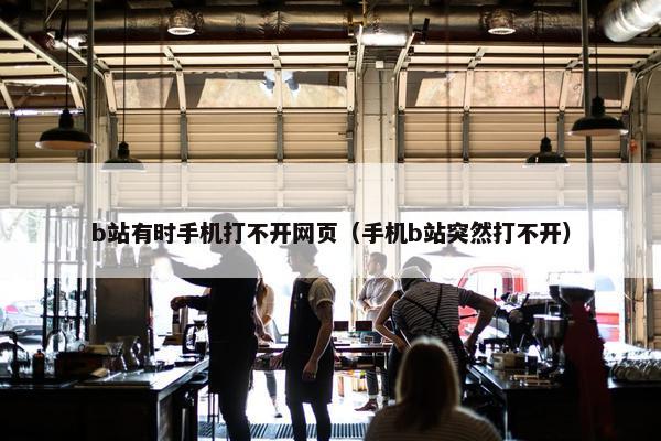 b站有时手机打不开网页（手机b站突然打不开）