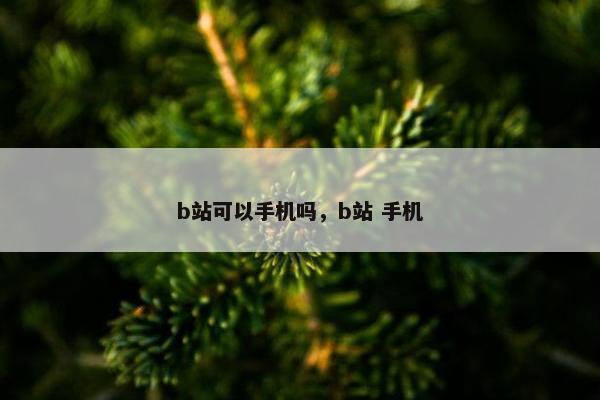 b站可以手机吗，b站 手机