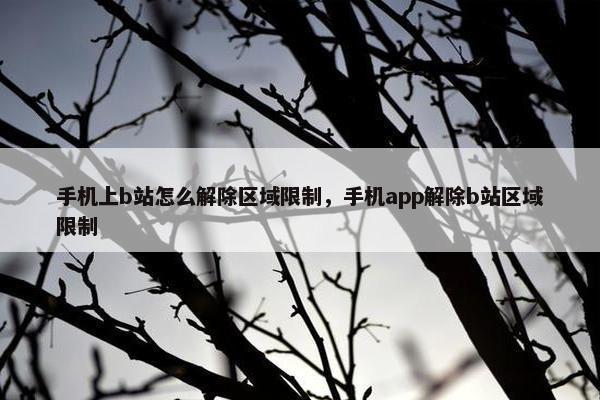 手机上b站怎么解除区域限制，手机app解除b站区域限制