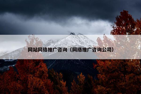 网站网络推广咨询（网络推广咨询公司）
