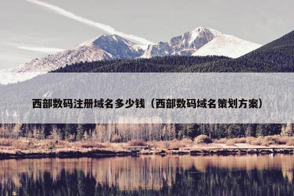 西部数码注册域名多少钱（西部数码域名策划方案）