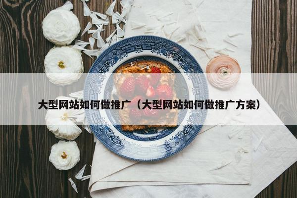 大型网站如何做推广（大型网站如何做推广方案）