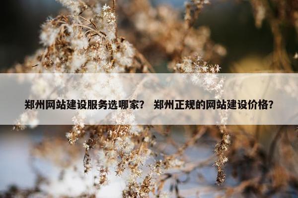 郑州网站建设服务选哪家？ 郑州正规的网站建设价格？