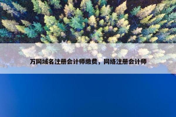 万网域名注册会计师缴费，网络注册会计师