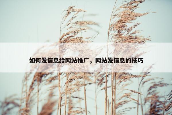 如何发信息给网站推广，网站发信息的技巧